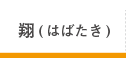 サービス付高齢者住宅翔（はばたき）